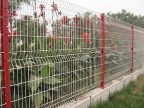 花园围栏网图片,花园围栏网高清图片 安平县长达护栏网厂,
